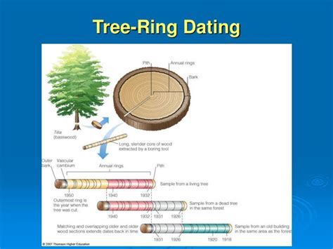 suppose the method of tree ring dating